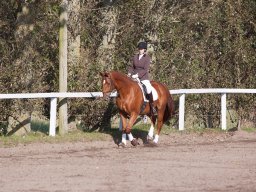 IMG_7764_web